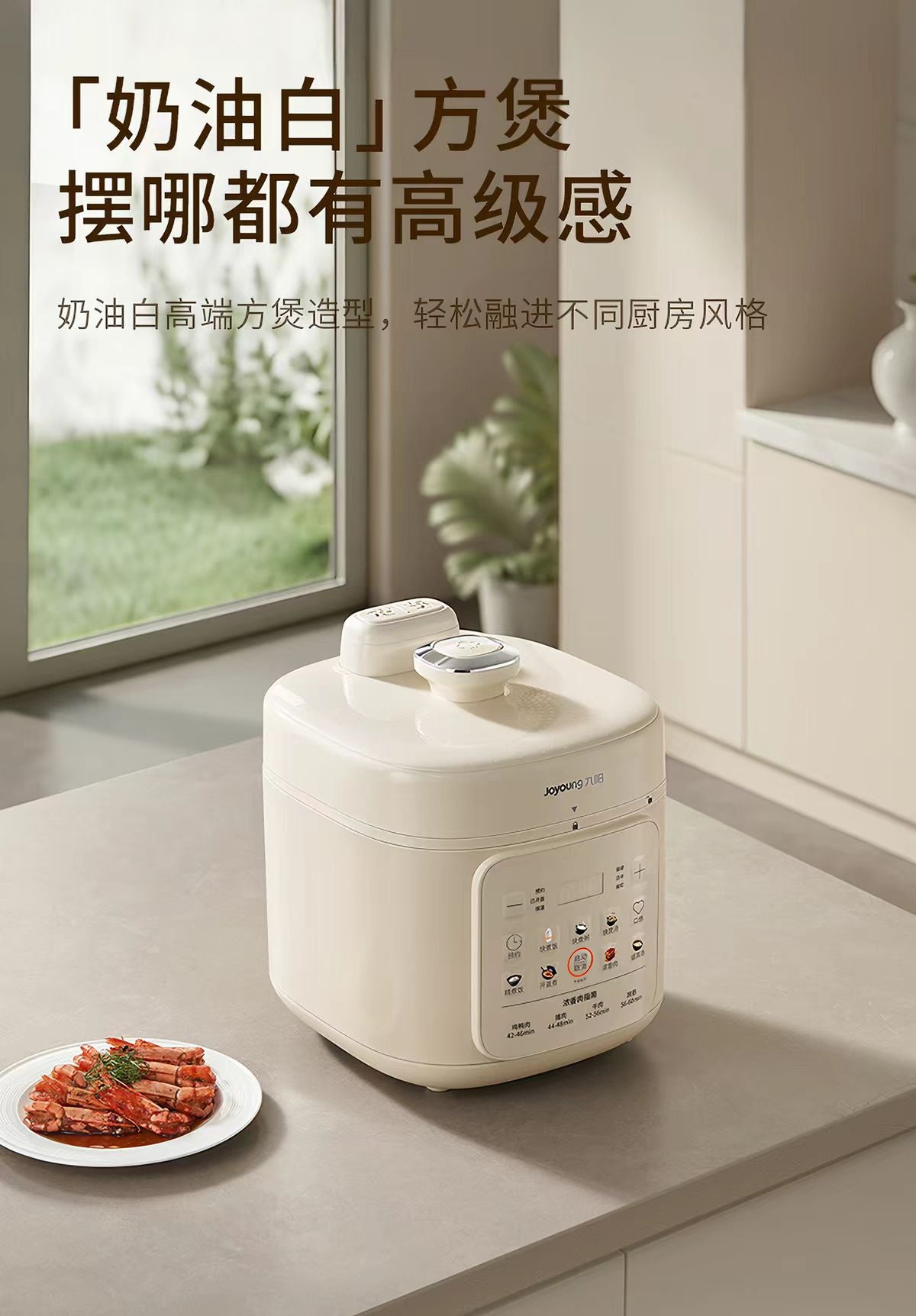 国货九阳压力锅高压锅5L 型号：HA-SE1133